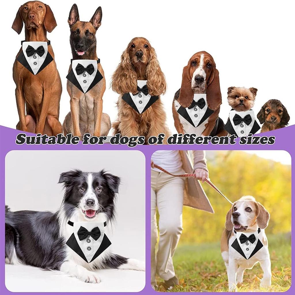 Tanpopo Formeller Hunde-Smoking Hochzeitskragen Bandana Geburtstags-Kostüm Fliege Party-Anzug Weihnachts-Feiertags-Party-Outfit Haustierhalsband