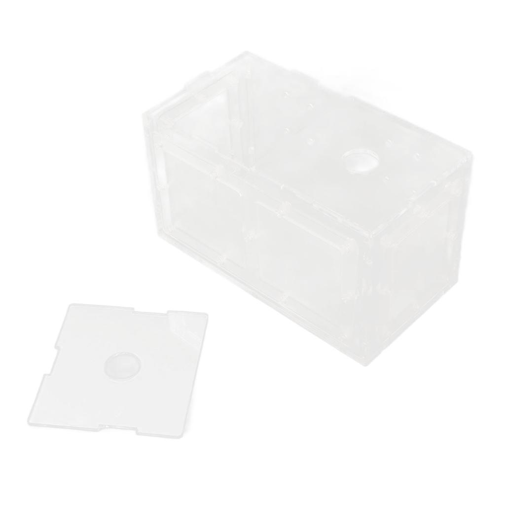 Fischzucht Isolierbox Transparente Netzseite Fischtank Inkubator für Aquarium Kleine Fische