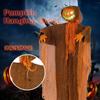 Halloween Pumpkin Hanging Ghost Party Decorations Hanging Green Light Light-emitting Sound Props Yard Ghost House Decoration