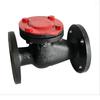 Cast Iron Swing Check Valve