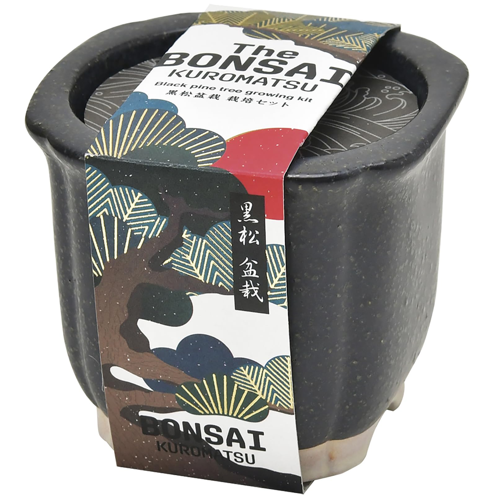 

Seishin Togei Home Gardening Easy Cultivation Black Pine Bonsai Cultivation Set Research 9cm The BONSAI Year-Round Kit, (Free Project), Approx. Pot, чёрный