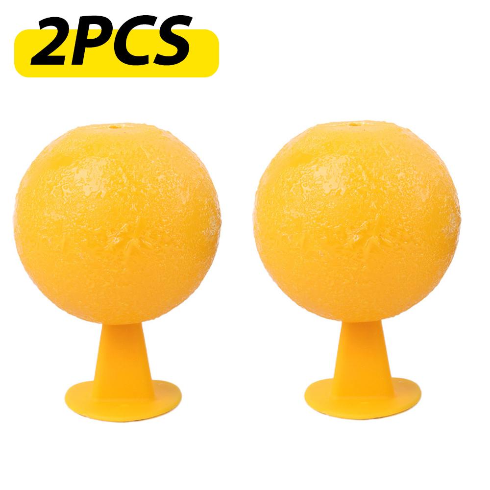 Indoor Flying Insect Catcher,Sticky Trap Balls for Fruit Flies,Gnats,Mosquitoes,Safe Non-Toxic,Place Near Plants,Trash Can,Window,Home,Office Use