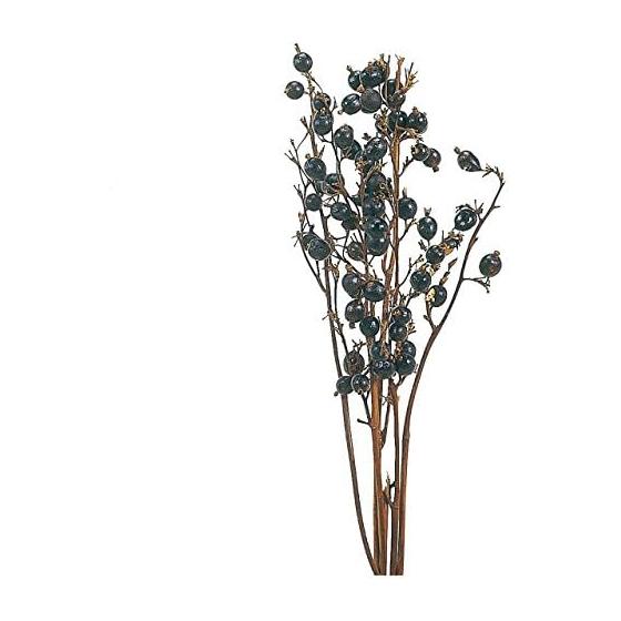 Daichi Farm Dried Flower Blackberry Natural Approximately L50.0~60.0cm 5 pieces DO022060-000
