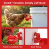 10 Sets Durable Automatic Chicken Water Cups PP Poultry Drinking Bowl  For Quails