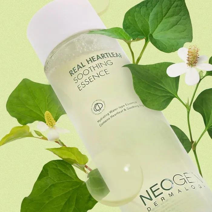 Real Heartleaf Aloe Vera Soothing Essence 150ml