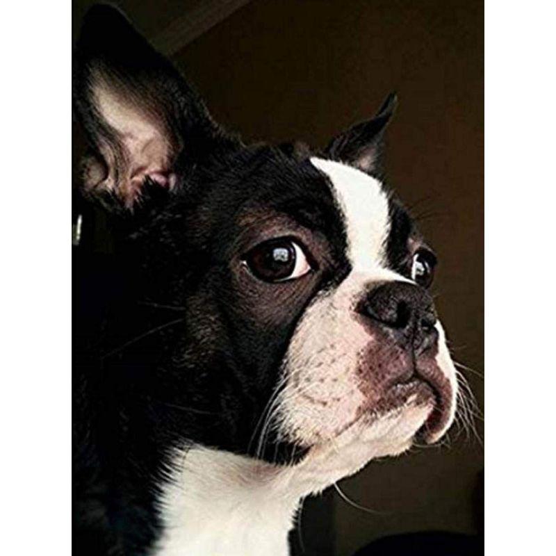 5D DIY Diamant Malerei Hund voller Runde Diamant Stickerei Tier Mosaik Strass Kit Dekor für Zuhause