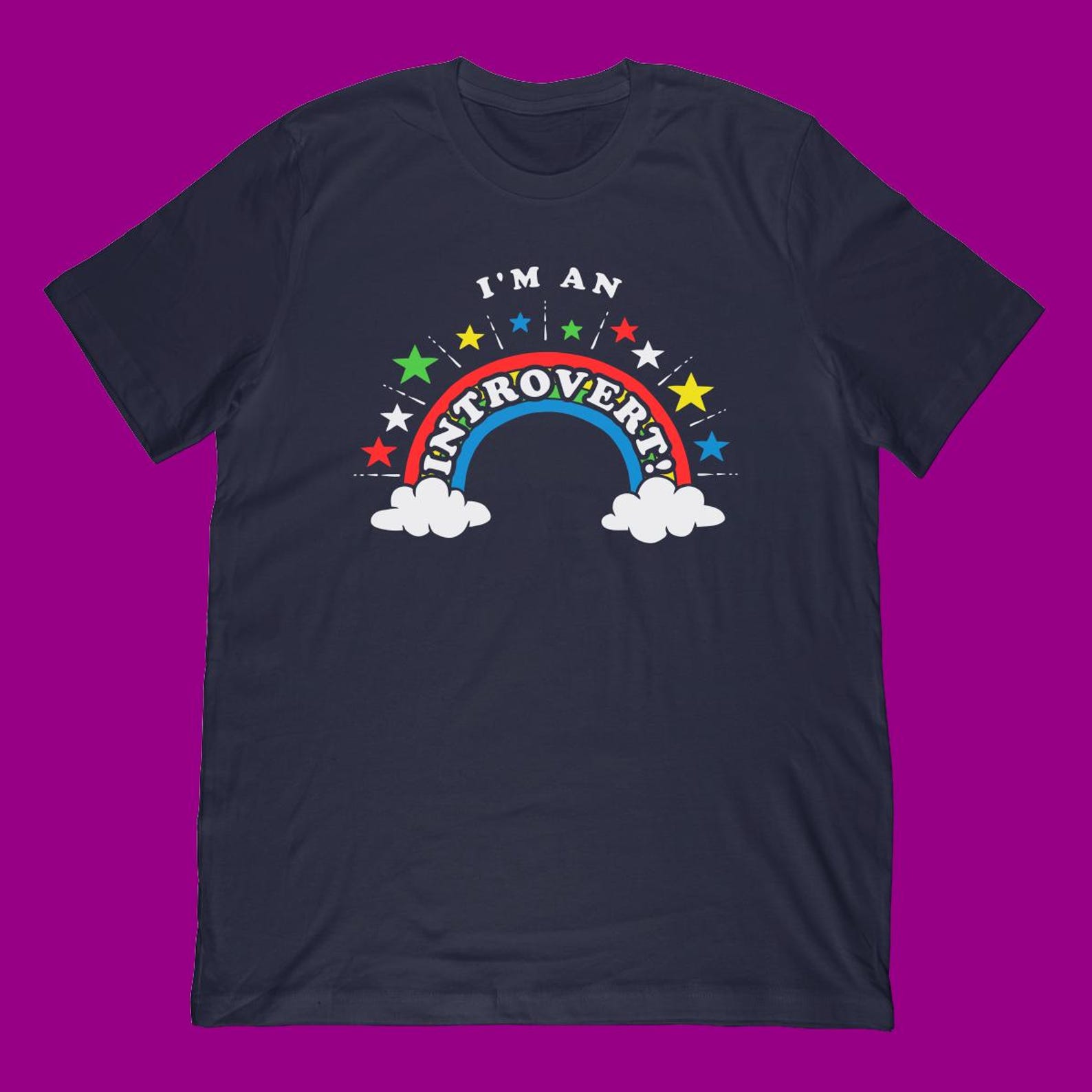 Introvert Rainbow T-Shirt | Funny Sarcastic Ironic Apparel XL