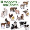 Magdum Magnets Farm Animals Mom and Baby Photos – Large Fridge Magnets for Toddlers – Child Toy Up To 3 Years 6310