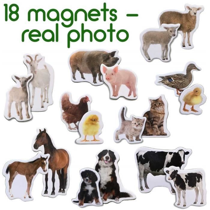 Magdum Magnets Farm Animals Mom and Baby Photos – Large Fridge Magnets for Toddlers – Child Toy Up To 3 Years 6310