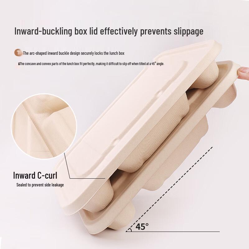 Eco-Friendly Disposable Food Containers