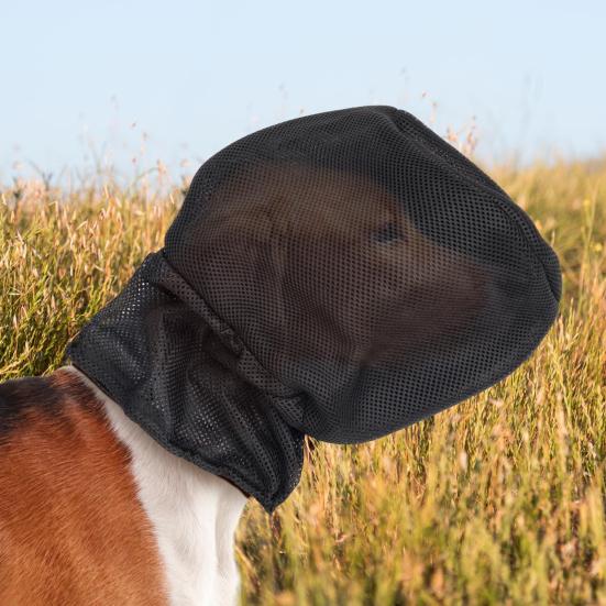 Field Guard for Dogs Field Net Guard Dog Foxtail Protection Hood To Prevent Foxtails Thorns Rocks Insects Dog Face Guard for Outdoor Hiking Camping