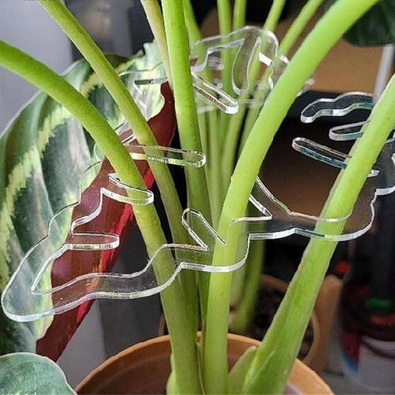 Acrylic Plastic Clamp For Monstera Plant Home Potted Plant Fixing Shape Clips Plant Support Cage Flower Upward Growing Rack