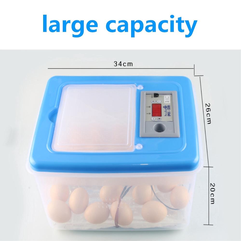 12 Volt / 220 Volt DC 12V 32 Automatické elektronické centrum pro líhnutí vajec Digitální líhně Centrum pro líhnutí kachen a hus Nové