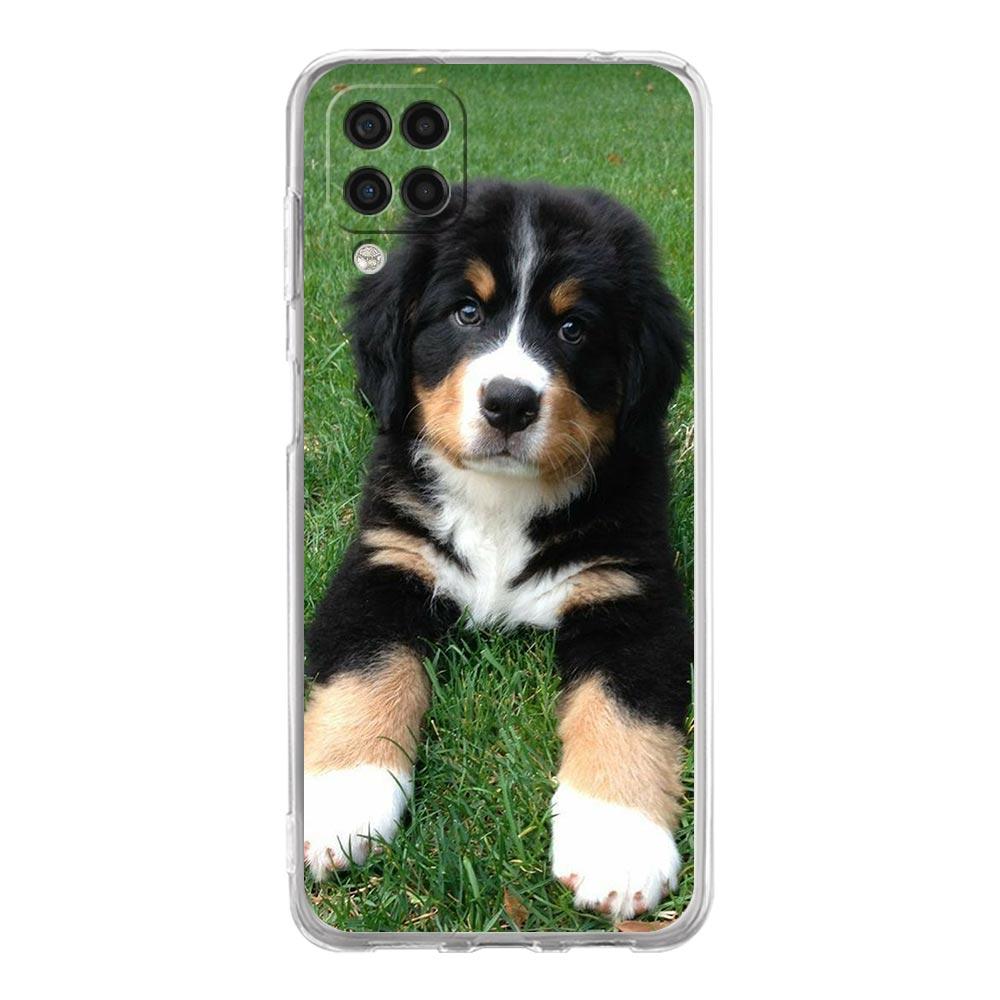 

Прозрачный чехол для телефона Samsung Galaxy A13 A51 A71 A21S A12 A11 A31 A52 A41 A23 A53 A73 A32 5G A03S Чехол Золотистый ретривер Друг Samsung A41