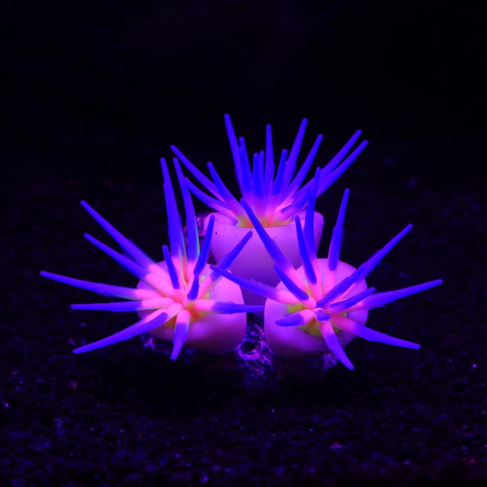 New Silicone Soft Simulation 3 Anemones Aquarium Aquascape Ornamentation Non-toxic Does Not Hurt The Fish Fish Tank Decoration