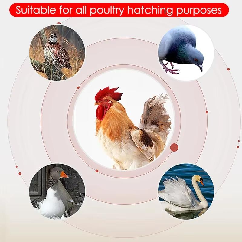 16 Eggs Dual-Electric Mini Household Brooder for Chicken Goose Duck Birds Farm Poultry Fully Automatic Turning Egg Incubator