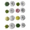 DIY Geometric Silicone Mold Succulents Shape Concrete Moulds Realistic Craft Molds Resin Moulds for Hand-Making Candle