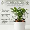 4PCS Self Plant Watering Globes Automatic Waterer with Terracotta Spikes for Vacations Plant Care with Slow Water for Consistent Hydration