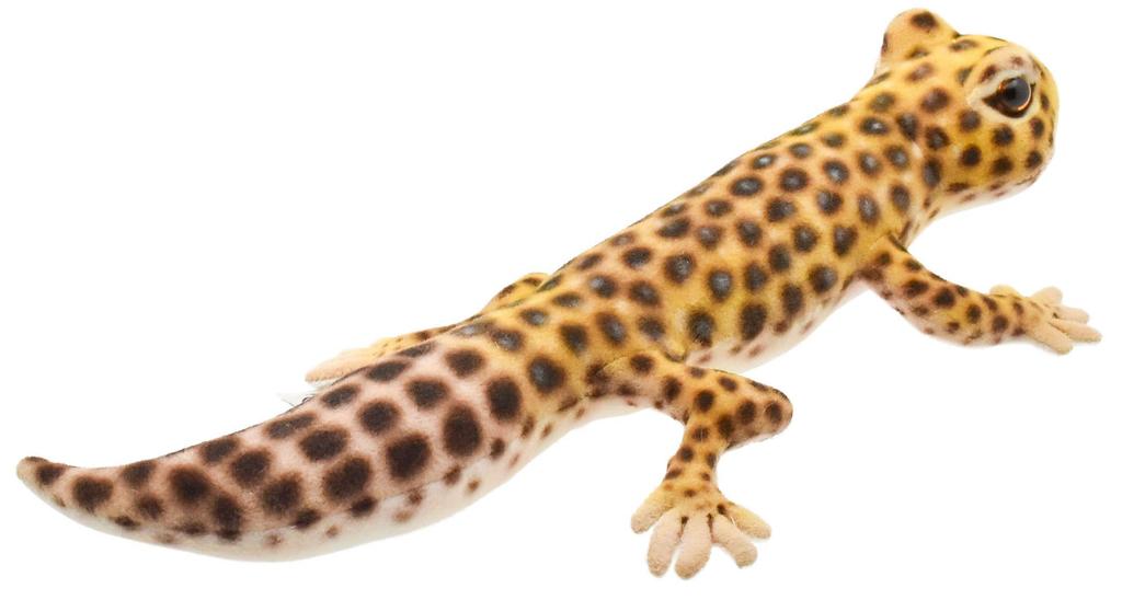 BH8140 HANSA Leopard Gecko 26