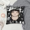 Wohnzimmer Dekoration Damon Salvatore Kissenbezug Merch Kissenbezüge Quadratisch Mehrere Größen