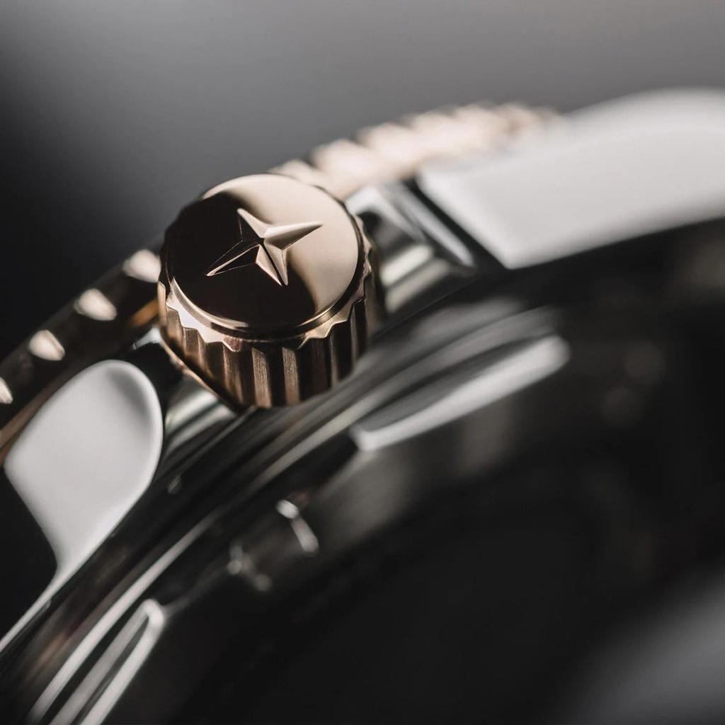 Mechanical Automatic Date 200M Waterproof Ternos Ceramic Swiss Made Silver [Davosa] 161.555.63 Men's