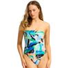 Seafolly Swimsuit 11117DD