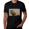 bearded dragon TShirt t shirts cotton  anime tshirt TShirt