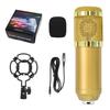 Condenser Microphone Small Set Mobile Phone Computer Anchor Live Karaoke Recording Microphone