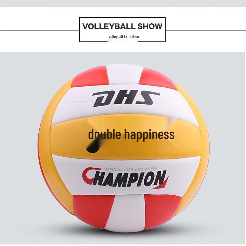 DHS FV518-2 Training Volleyball