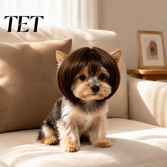 Pet Wig for Cats Dogs Funny Dog Small Medium Large Dogs, Gift Lovers Costume with Adjustable Elastic Band Cosplay, Halloween, Christmas, Parties