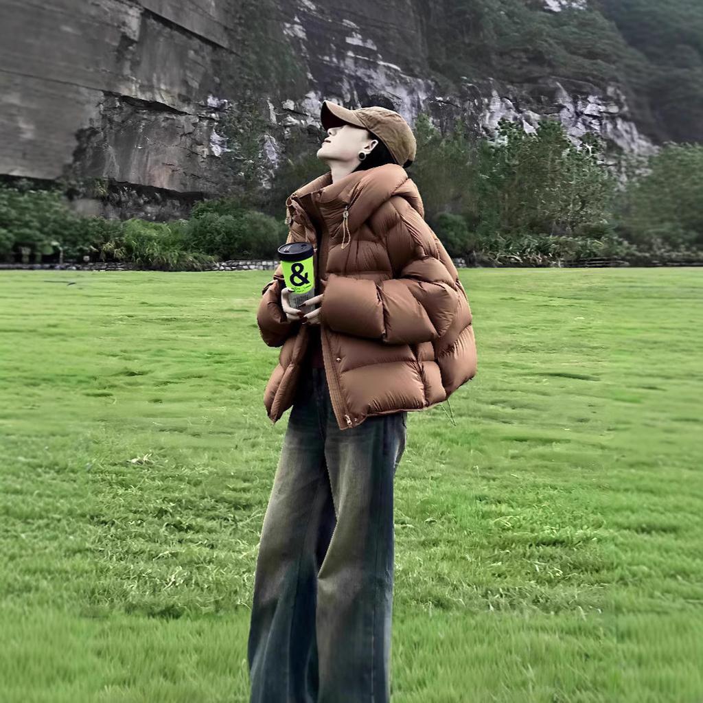 Modă Coreeană Toamnă Iarnă Cald Parka Femei Streetwear Largă Groasă Jachetă Bumbac Puf Jachete Femei Palton cu Glugă pentru Doamne