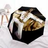 Elvis Fashionable Automatic Opening/Closing Folding Umbrella. Portable and Foldable, Ideal for Gift, Travel, and Daily Use.