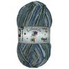 Opal Sock Yarn 6ply "Lifestyle 9877"