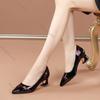 Fashion Women Pumps Spring Autumn Soft Leather Thick Middle Heel Shoes for Women Professional Shallow Mouth Pointed Toe Women's Shoes