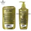 Schwarzkopf Ginger Oil Control Conditioner & Scalp Serum Set