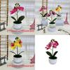 Butterfly Orchid Replica Potted Flower For Event Decor And Home Styling
