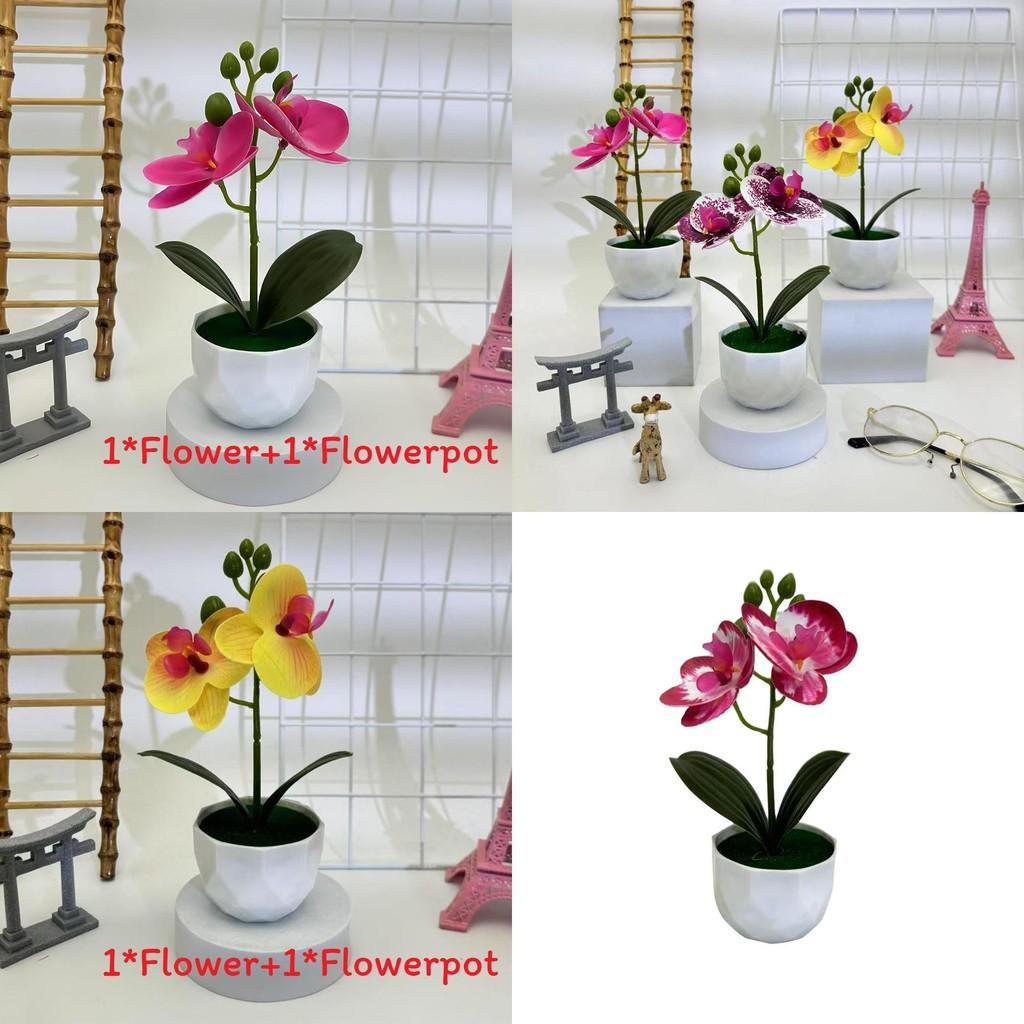 Butterfly Orchid Replica Potted Flower For Event Decor And Home Styling