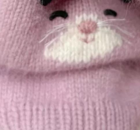 Autumn and Winter Warm Sweater Dog Autumn Yorkshire Schnauzer Cat Teddy Vest Dog Clothes for Small Dogs Puppy Clothes