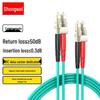 Shengwei Telecom-Grade 10G Armored LC-LC OM3-300 Fiber Optic Patch Cable