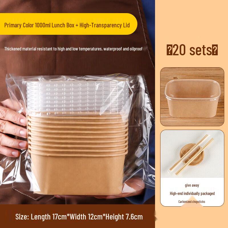 Disposable Picnic Bento Box