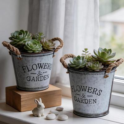 Retro Metal Planter Flowerpot with Plant Pot for Rope Handles Distressed Succulents Small Houseplants Desk Decor