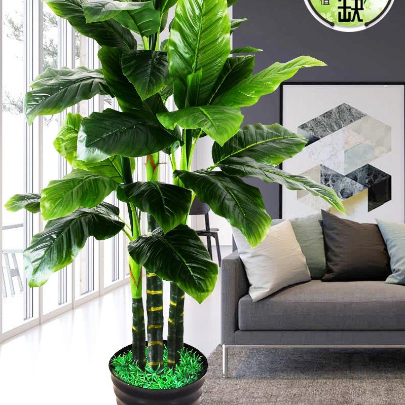 Large Indoor Evergreen Bonsai: Fake Plastic Tree Decor for Living Room.