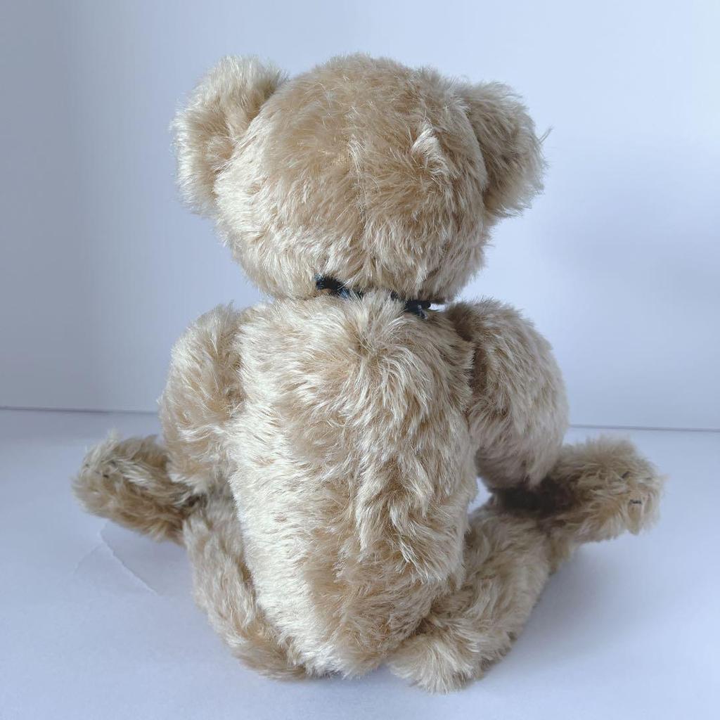 [USED] Foreign Artist Teddy Bear