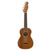 Guitarras, ukuleles, bandolins – Ukulele