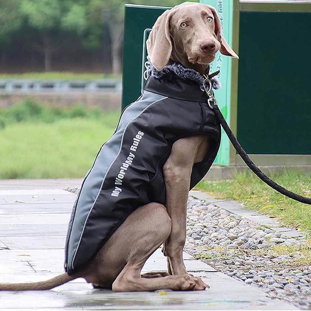 Nové Zimní Psí Teplé Nepromokavé Oblečení Reflexní Písmo Oblečení Nepromokavá Vesta Pet Kočka Bunda Pet Bavlněné Oblečení Pro Malé Střední Velké Psy XL-6XL