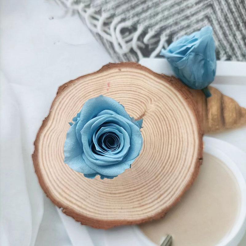Blue Series Dried Flower DIY Kit: Hydrangea, Thousand-Layer Gold, Eucalyptus Leaf Souvenir Decoration