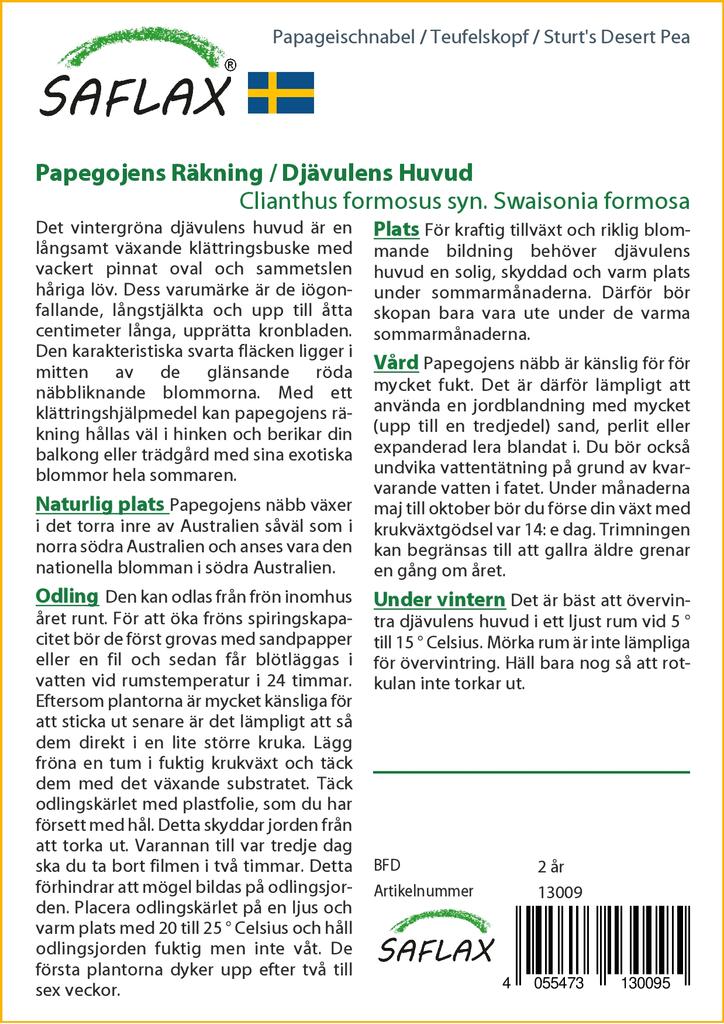 SAFLAX Sturt's Desert Pea - 20 Seeds - Clianthus Formosus