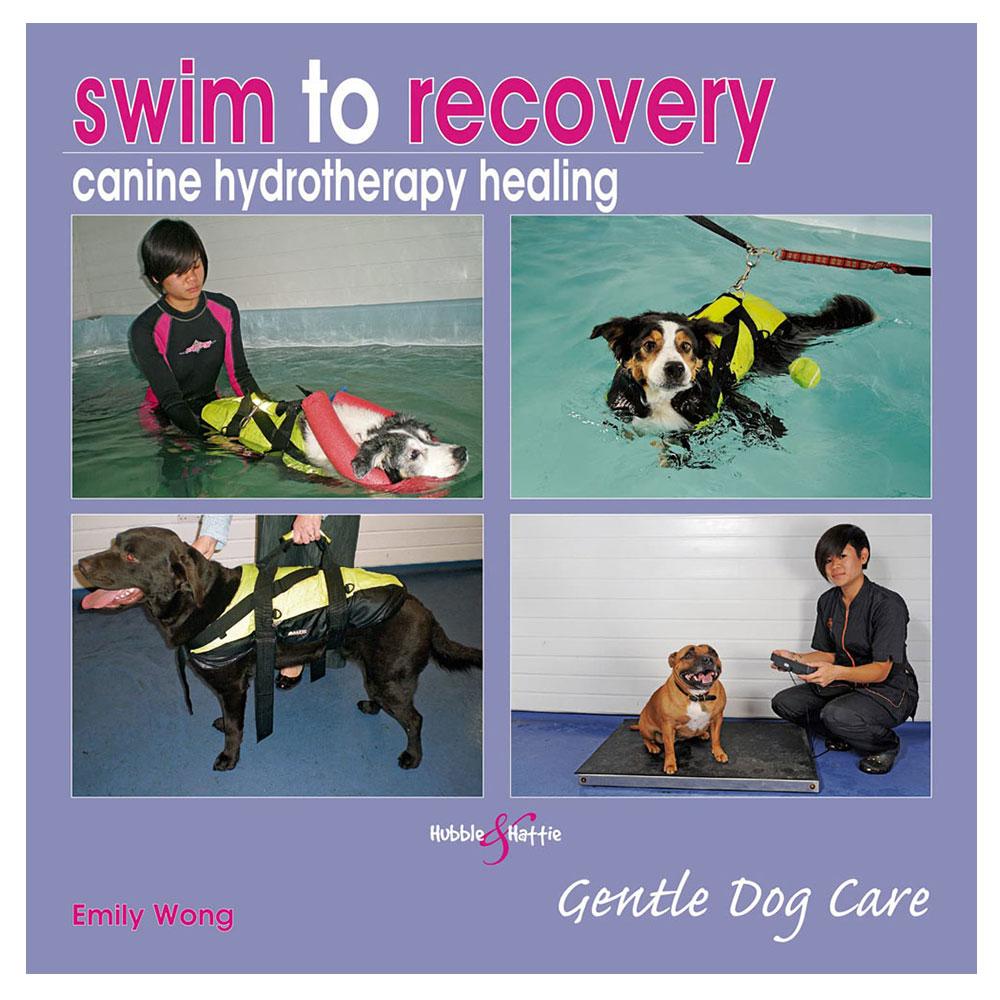 Schwimmen zur Genesung Hunde-Hydrotherapie Heilung