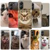 Pet Cat Funny Memes Phone Case For Xiaomi Poco F7 Ultra X7 X6 X5 Pro M7 Redmi 15C 15 13C 13 12C 12 10C 10 9A 9C 9T 9 Shell Poco