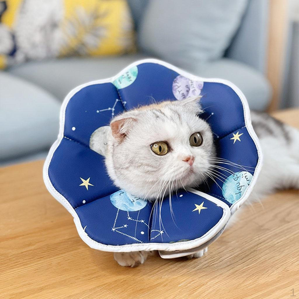 , Katzenkragen Elisabethanischer Schutzkragen für Wunden, Speziell für Katzen entwickelt - Leicht zu fressen